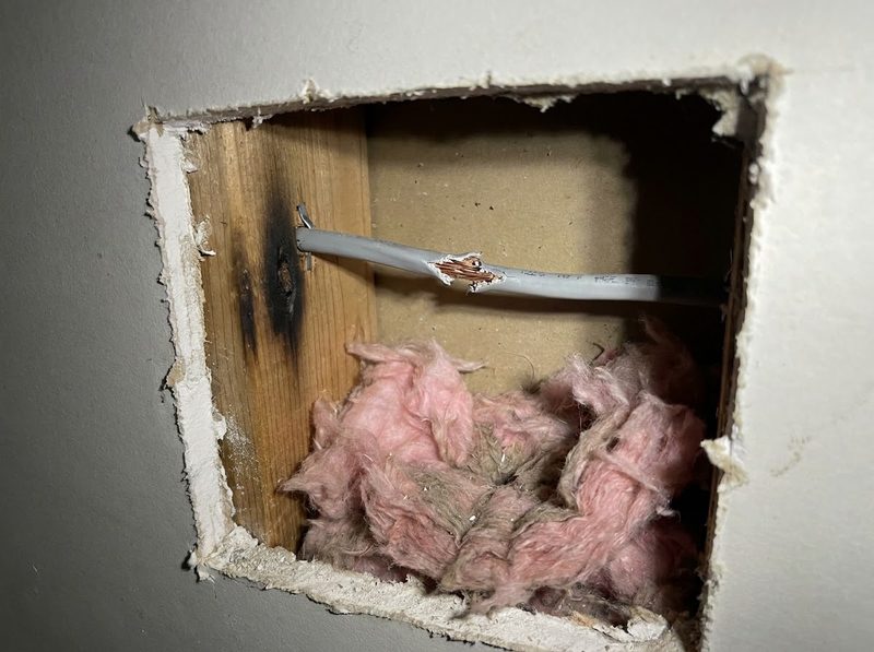 A chewed electrical cable inside a wall, bare copper and a scorch mark on the stud